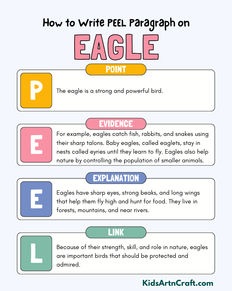 Eagle Paragraph Writing with PEEL Method