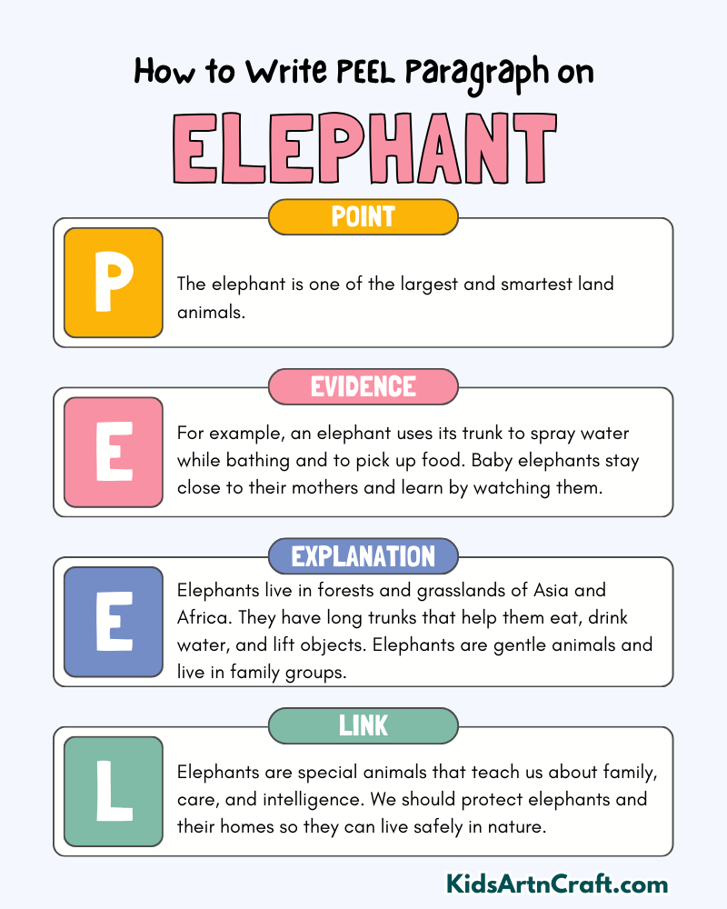 Elephant Paragraph Writing with PEEL Method