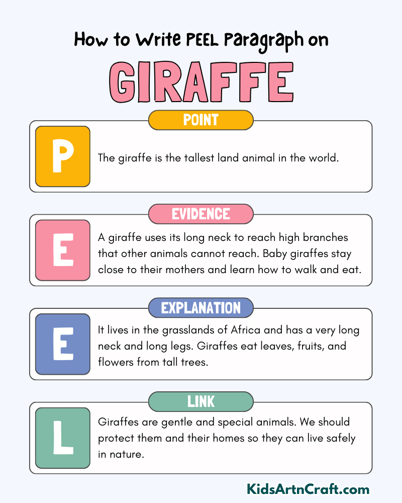 Giraffe Paragraph Writing with PEEL Method