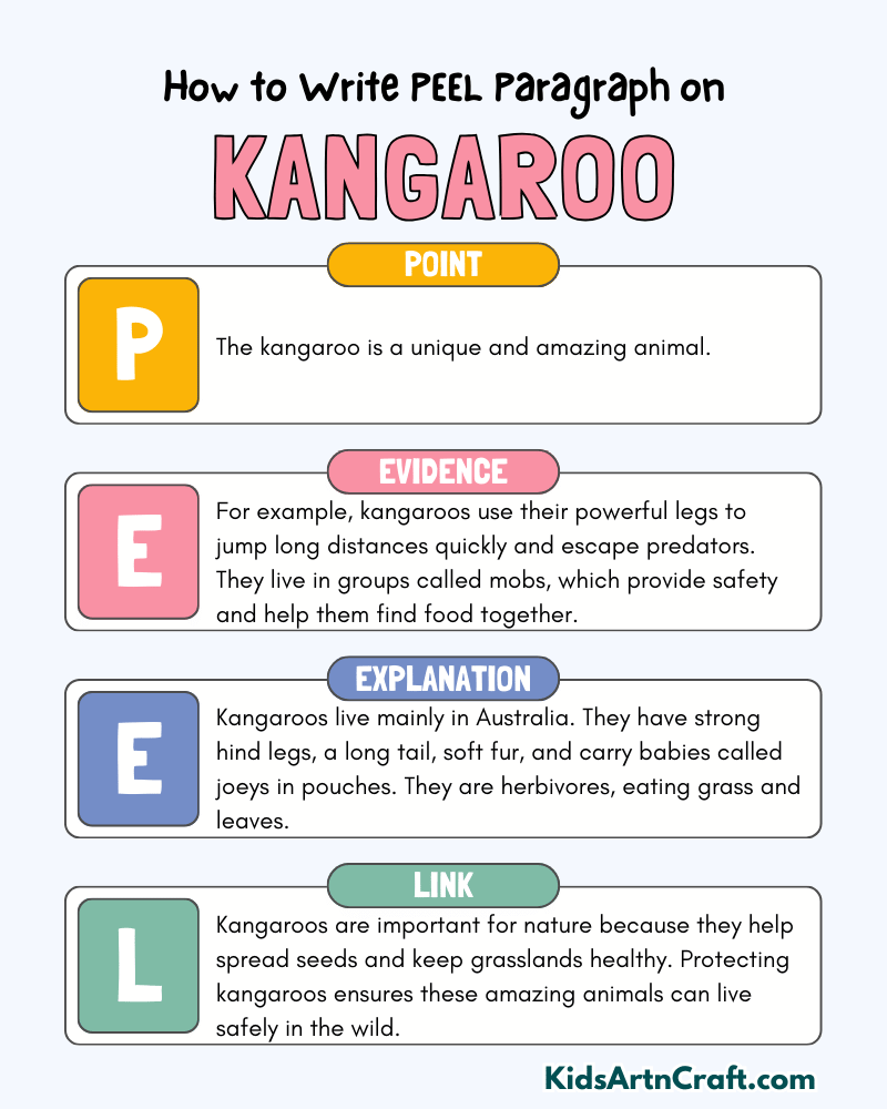 Kangaroo Paragraph Writing with PEEL Method
