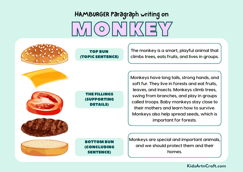 Monkey Paragraph Writing with Hamburger Method
