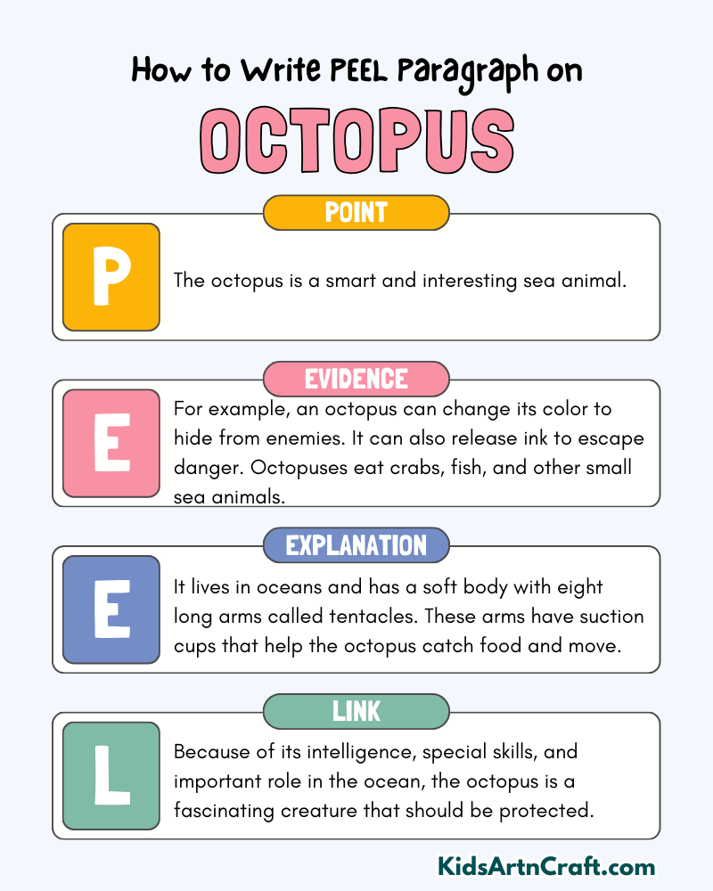 Octopus Paragraph Writing with PEEL Method
