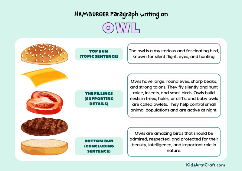 Owl Paragraph Writing with Hamburger Method