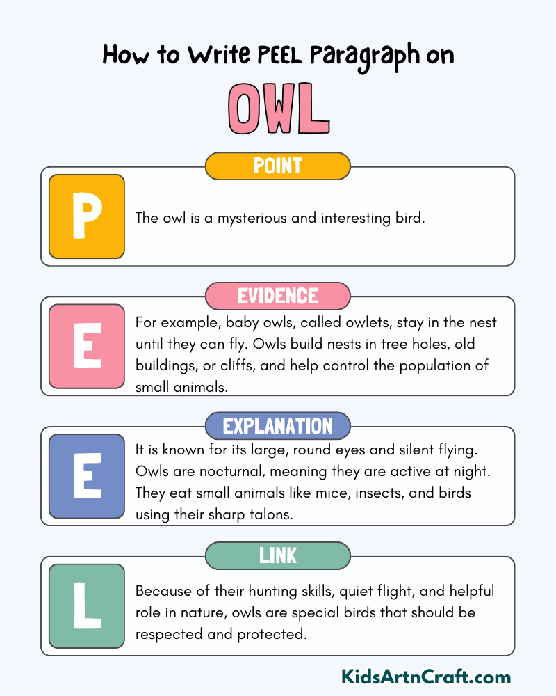 Owl Paragraph Writing with PEEL Method