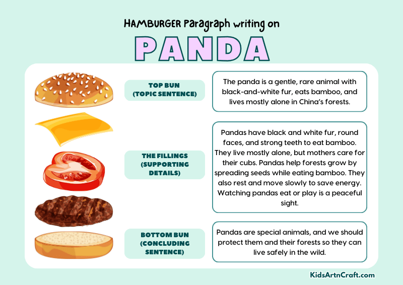 Panda Paragraph Writing with Hamburger Method