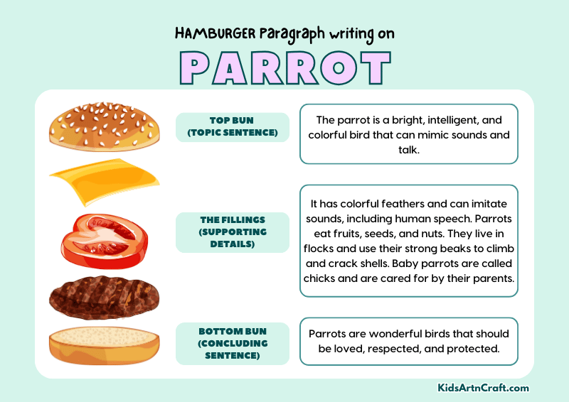 Parrot Paragraph Writing with Hamburger Method