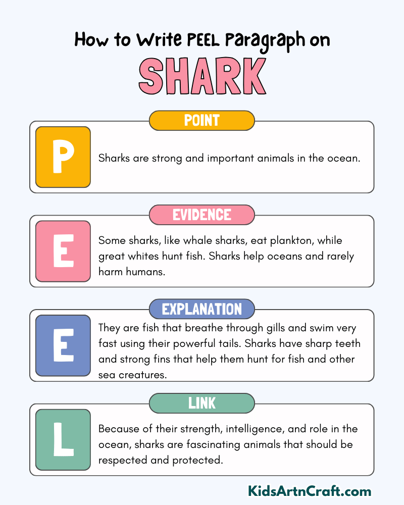 Shark Paragraph Writing with PEEL Method