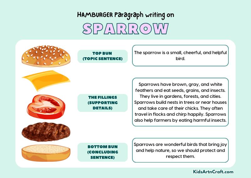 Sparrow Paragraph Writing with Hamburger Method