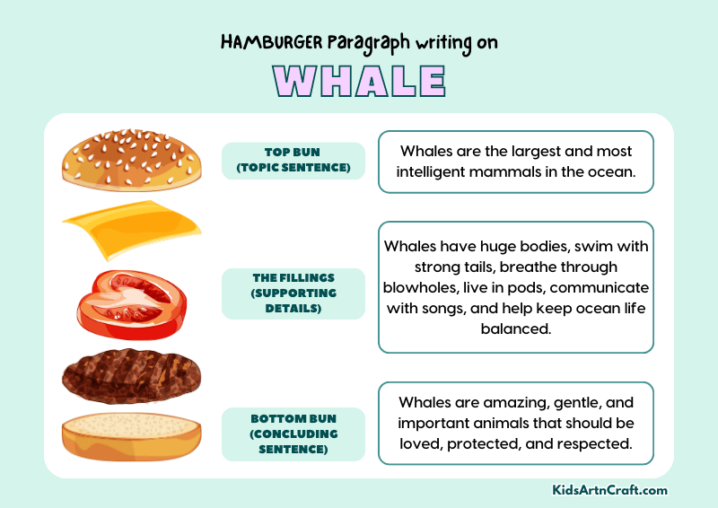 Whale Paragraph Writing with Hamburger Method