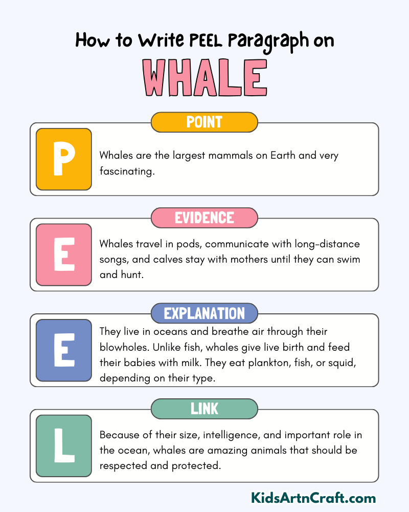 Whale Paragraph Writing with PEEL Method