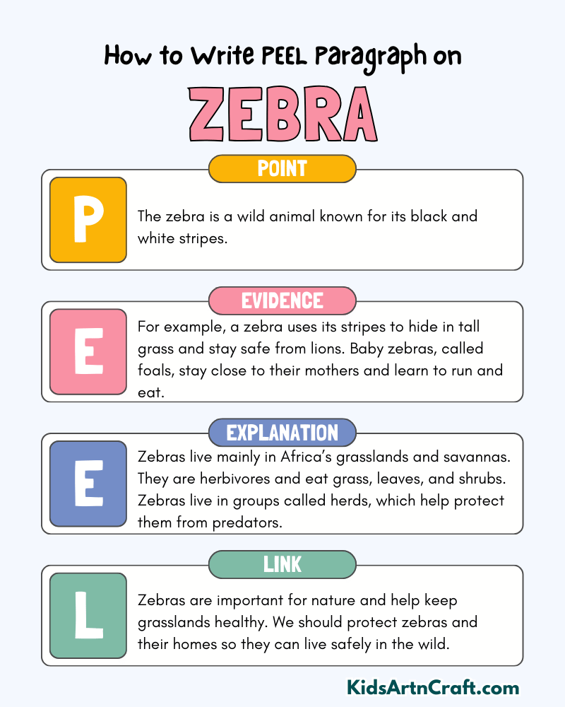 Zebra Paragraph Writing with PEEL Method