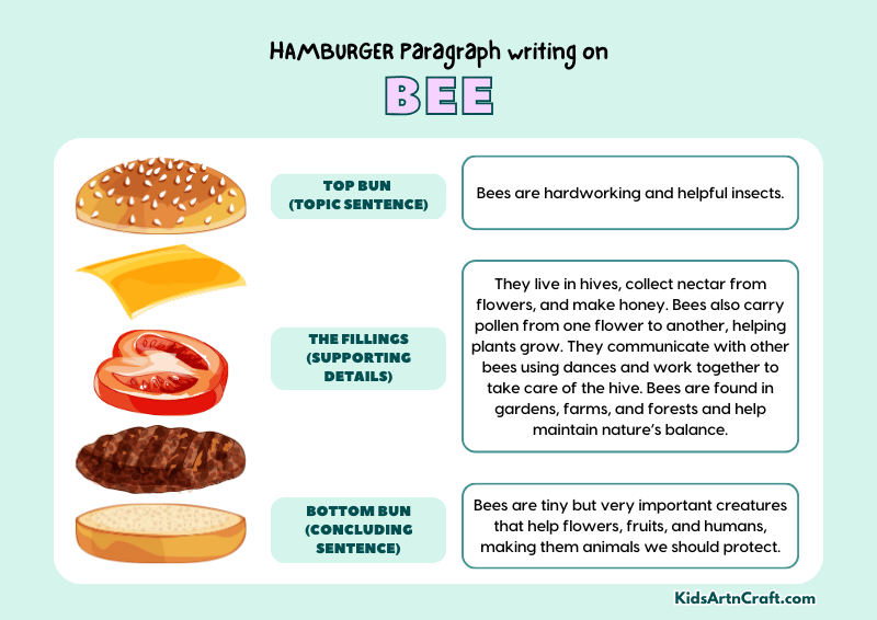 Bee Paragraph Writing with Hamburger Method