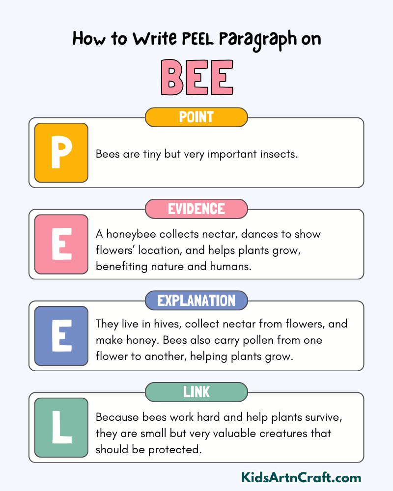 Bee Paragraph Writing with PEEL Method