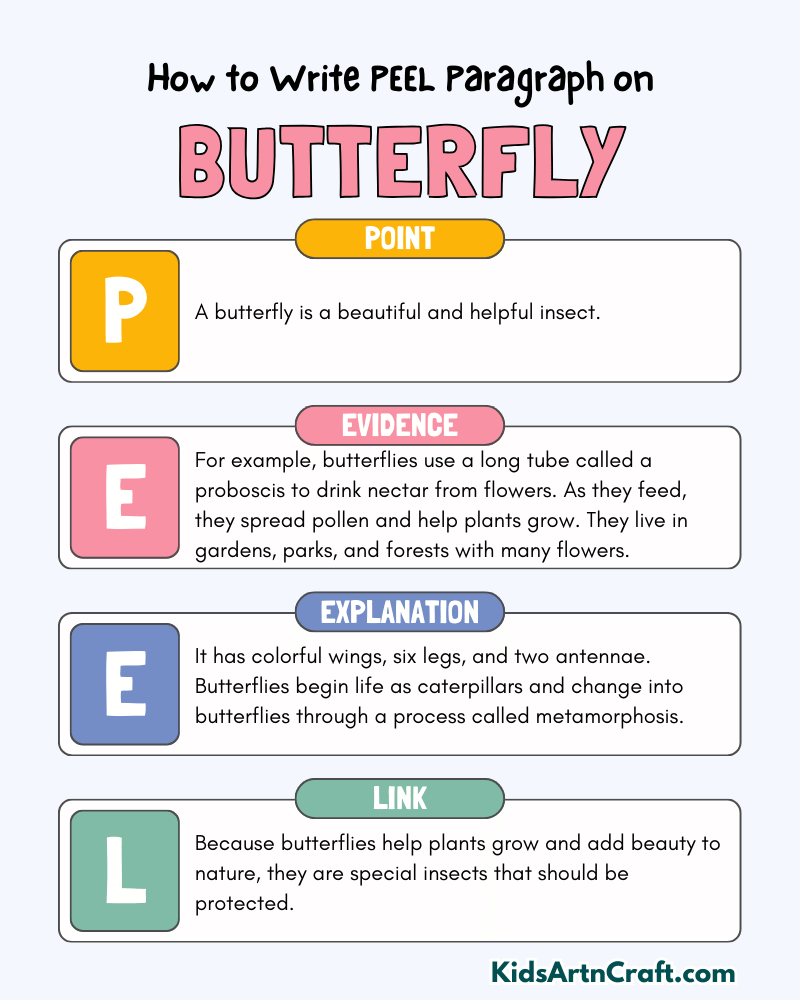 Butterfly Paragraph Writing with PEEL Method