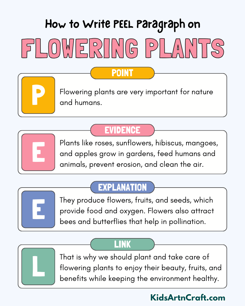 Flowering Plants Paragraph Writing with PEEL Method