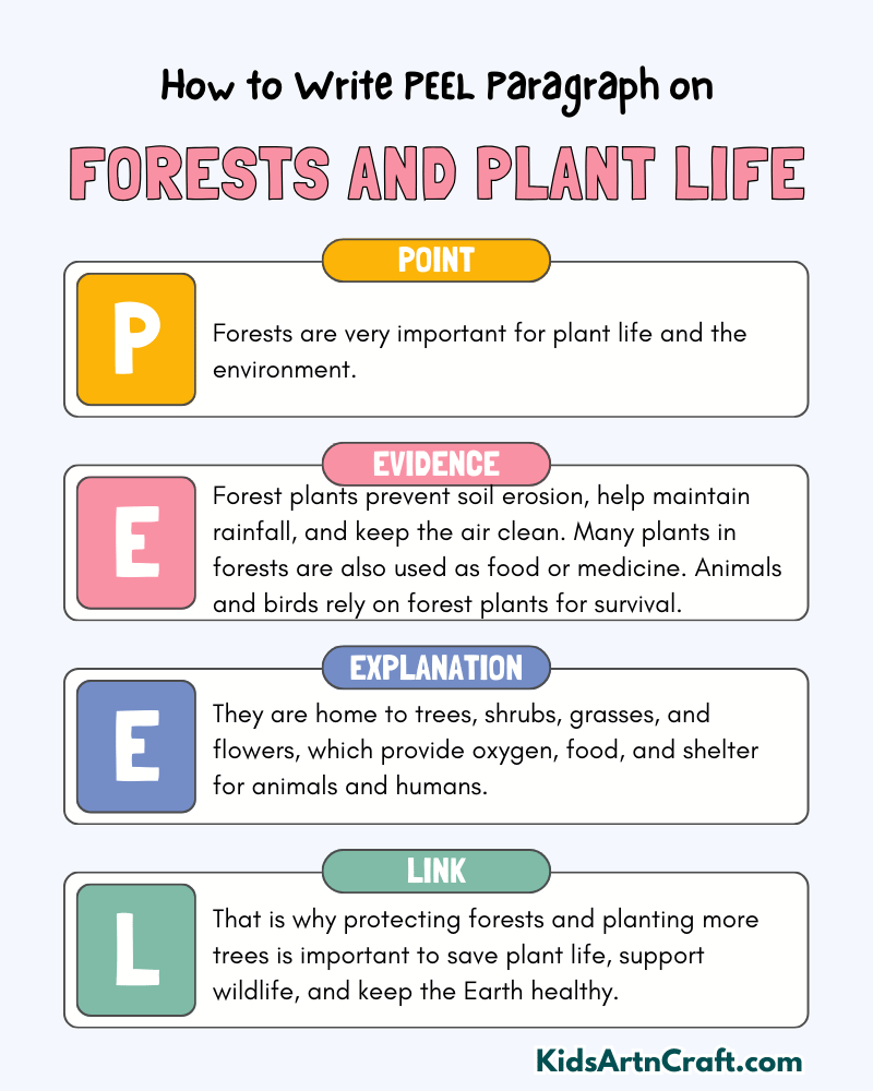 Forests and Plant Life Paragraph Writing with PEEL Method