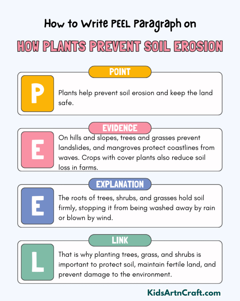 Paragraph on How Plants Prevent Soil Erosion - Kids Art & Craft
