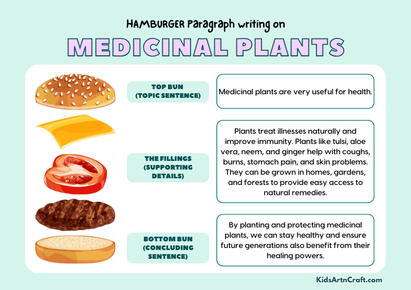 Medicinal Plants Paragraph Writing with Hamburger Method