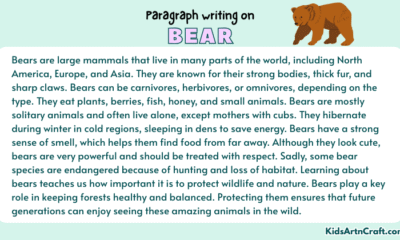 Paragraph on Bear