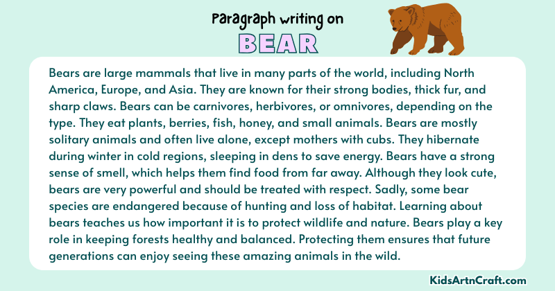 Expository Paragraph on Bear (Explains with Facts)