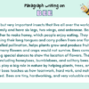 Paragraph on Bee