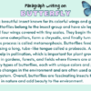 Paragraph on Butterfly