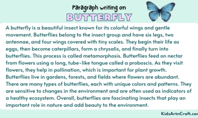 Paragraph on Butterfly
