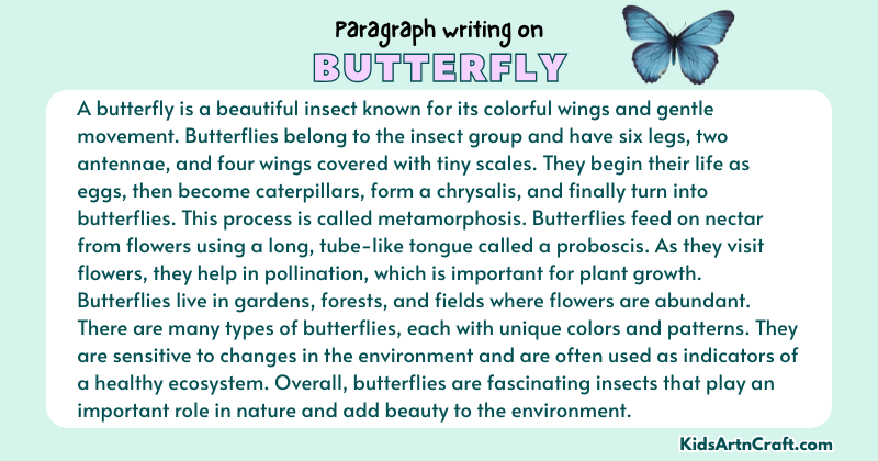 Expository Paragraph on Butterfly (Explains with Facts)