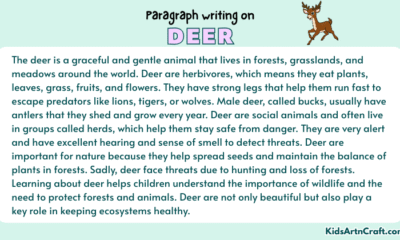 Paragraph on Deer