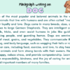 Paragraph on Dog