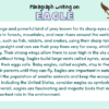 Paragraph on Eagle