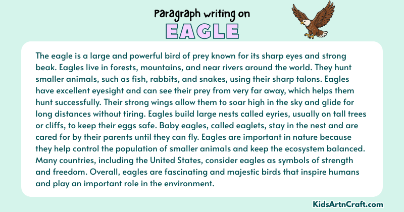 Expository Paragraph on Eagle (Explains with Facts)