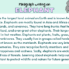 Paragraph on Elephant
