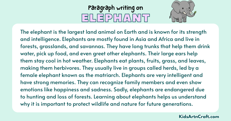 Paragraph on Elephant