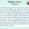 Paragraph on Fish