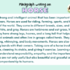 Paragraph on Horse