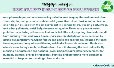 Paragraph on How Plants Help Reduce Pollution