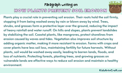Paragraph on How Plants Prevent Soil Erosion