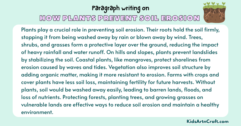 Paragraph on How Plants Prevent Soil Erosion