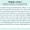 Paragraph on Indoor Plants