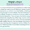 Paragraph on Kangaroo