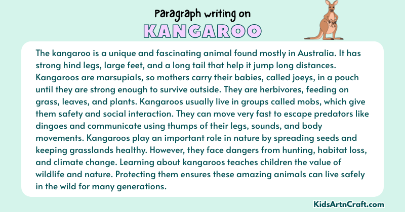Paragraph on Kangaroo