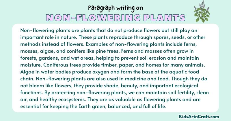 Expository Paragraph on Non-Flowering Plants (Explains with Facts)