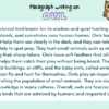 Paragraph on Owl