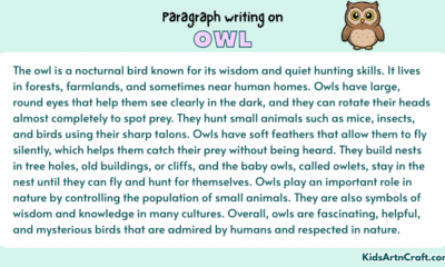 Paragraph on Owl