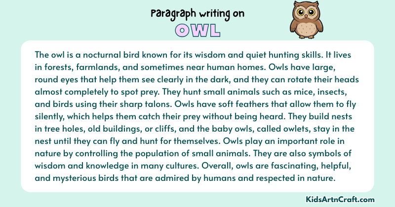 Expository Paragraph on Owl (Explains with Facts)