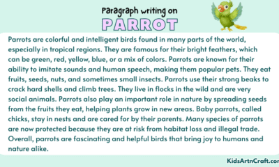 Paragraph on Parrot