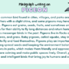 Paragraph on Pigeon
