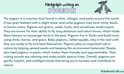 Paragraph on Pigeon