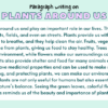 Paragraph on Plants Around Us